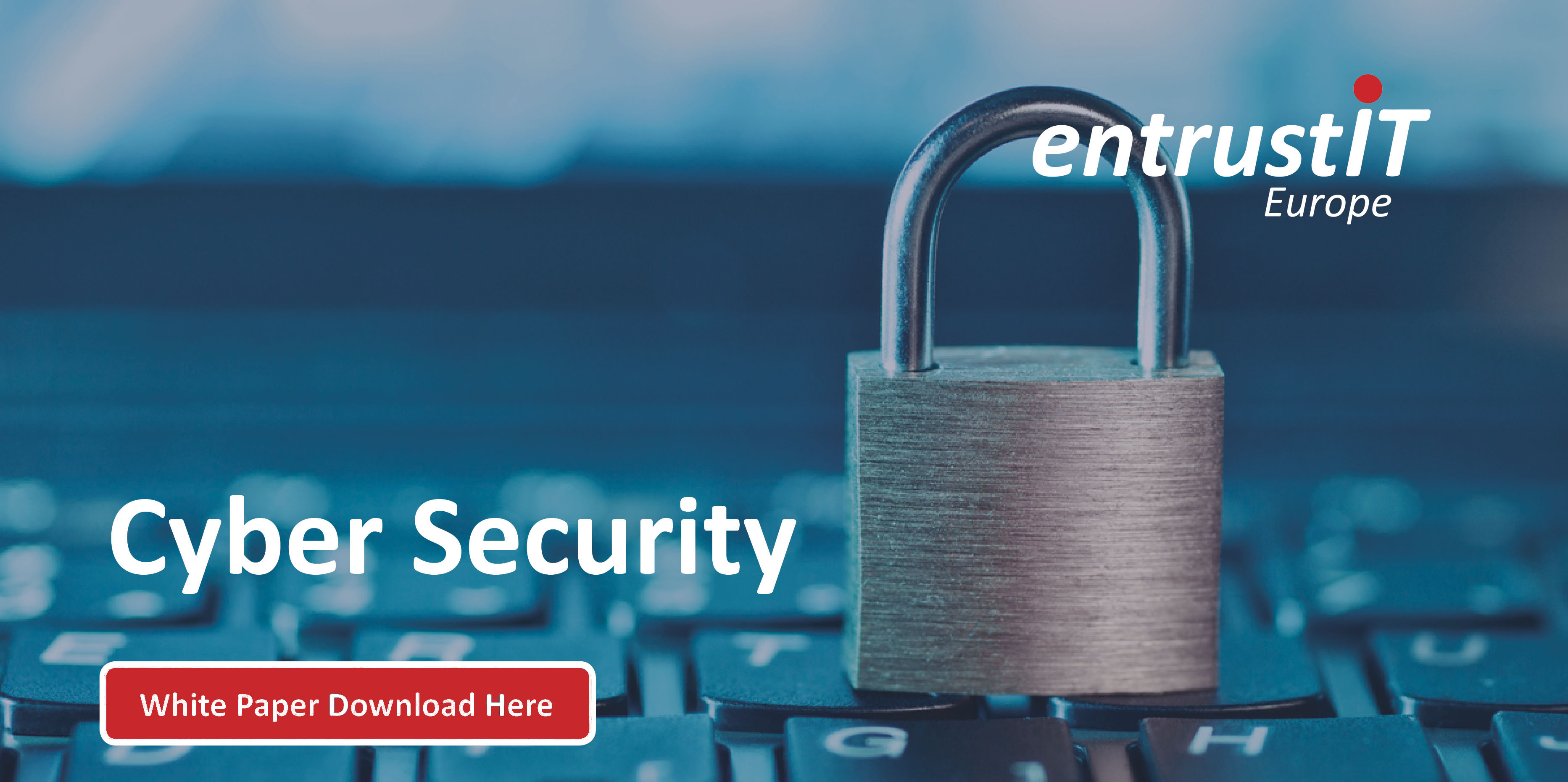 Cyber Security White Paper